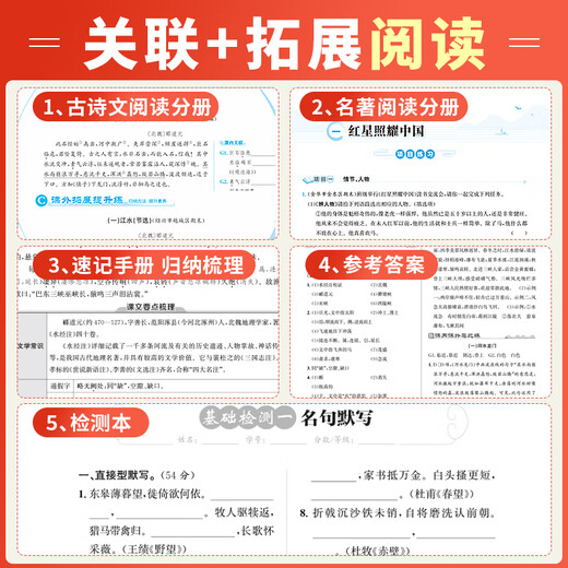 官方直营】2025新版 古诗文与名著阅读拓展提分营古诗文名著导读初一初二初三八九七年级必背古诗词和文言文全解全练阅读正版 古诗文与名著阅读 七年级下