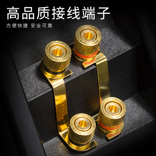 Huiwei (HIVI) D3.2MKIII + Tianlong X540 Verstärker Front Audio Home Theater Hauptredner 2.0 Kanal Hifi Wooden High-Fidelity-Bodenbox