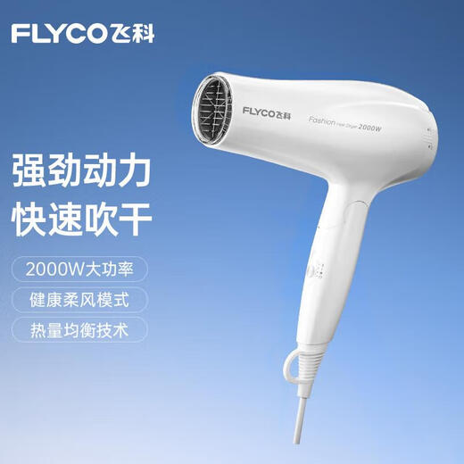 FLYCO hair dryer, household high-power negative ion hair dryer, hair care, strong wind, quick drying, light, compact, portable, professional salon hair dryer, 2000W high power, foldable FH6232