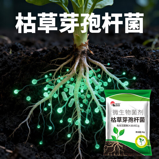 Nanhua Qianmu Bacillus subtilis agricultural microbial agent to prevent root rot water-soluble fertilizer to improve soil rooting feed addition Bacillus subtilis 1000g*1 bag