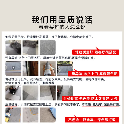 客厅地毯轻奢高级感免洗黑沙发搭配地毯客厅2024新款轻奢高级感房 15839 140*200cm[无甲醛无异味]