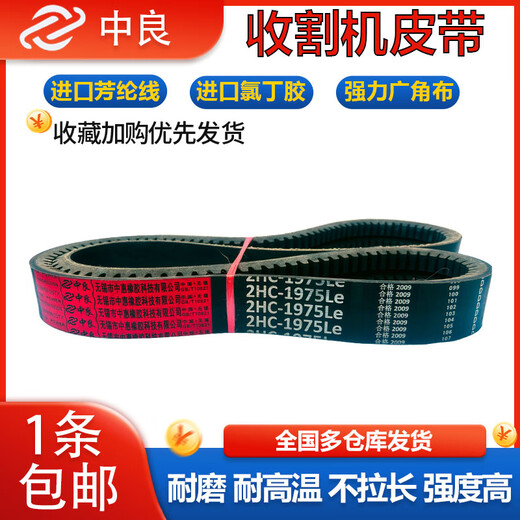 Zhongliang Triangle Belt 2735 2739 2740 2750 2775 2778 2805 Cinturón de cos que 3HB Gold-2694le_zhongliang Gold Band
