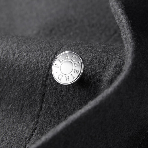 PEACEBIRD Men's Jacket Men's Trendy Color Block Casual Top Lapel Autumn and Winter Jacket Men Black 1 (Loose) L