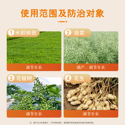 Guoguang Aizhuang Uniconazole Controls Leggy Growth, Prevents Lodging, Promotes Tillering and Dwarfing Plants, Peanut, Rape, and Pepper Official Authentic 1kg