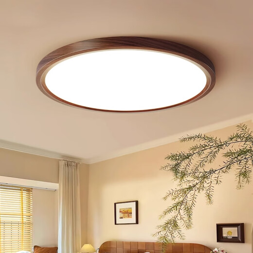 JPHZNB Color de nogal Protección de ojos Luz de techo de dormitorio simple Balcón de balcón de la habitación principal redonda del pasillo 4W Spectrum completo RA9740 cm-Tres segmento/40W