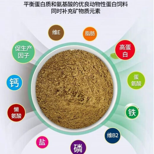Imported steam fish meal from Peru to feed chickens high protein feed fish meal breeding chicken duck goose pig shrimp breeding fish bone meal 5Jin Jin equals 0.5 kg fish bone meal