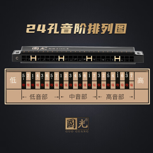 国光24孔初学入门级带音阶纪念版复音口琴C调（雅典黑）礼盒装