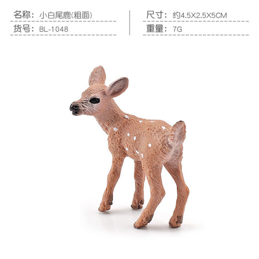 源头厂家 森林动物松鼠白尾鹿狐狸模型圣诞装饰桌面摆件模型 BL-1047母白尾鹿(粗面) 25g