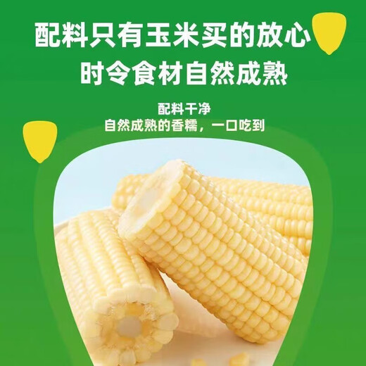 2025 First Crop Northeast White Waxy Corn Vacuum Packaging Corn Sections Coarse Grain Breakfast Meal Replacement 110g-140g/Section Rose Gold Premium White Waxy Corn 3 Sections