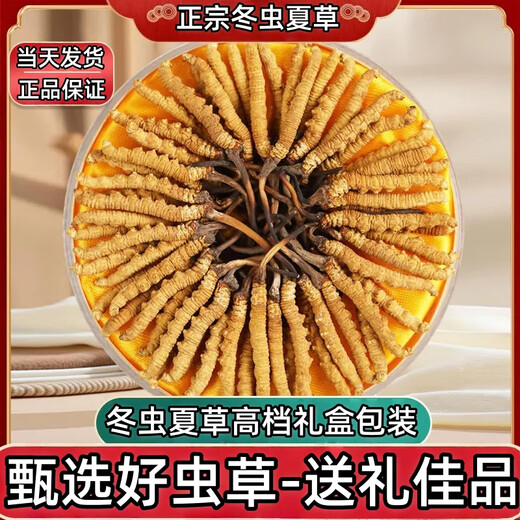 Boîte-cadeau CordyCeps 2025 Premier chaume nouveau Cordyceps séché sélectionné Cordyceps authentique garanti de l'expédition le même jour. Les plus beaux cordyceps du Tibet 4 pièces 1 gramme 30 pièces