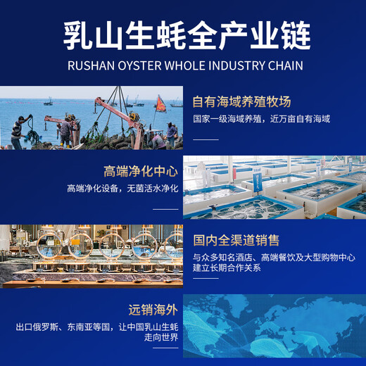 Bassling Fresh Rushan Ecological Oysters 8XL Net weight 9Jin Jin is equal to 0.5kg 8-11 pieces Straight from the source