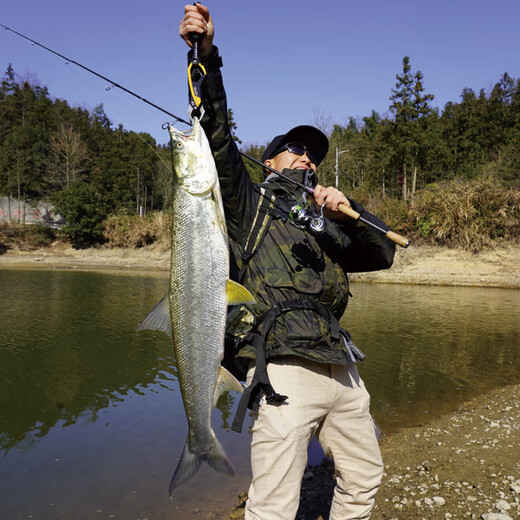 Daiwa 21 Nouveau produit Zillion Zilong Tielle de voie compétitive Rod à pêche à pêche en carbone en carbone en cours de gamme Zilong 2,03 mètres 23 Nouveau modèle régulier - 682L / m