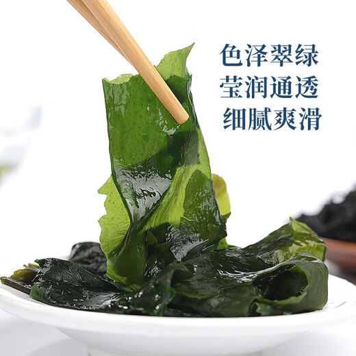 盐渍裙带菜 鲜海带非干货海带嫩苗儿童海菜海白菜海藻菜凉拌 盐渍裙带菜嫩叶500g