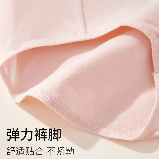 Odifen hohe Taille Unterwäsche Frauen Unterwäsche reines Baumwollbauch 10A Antibakteriellem Maulbeer -Seidendreher atmungsaktives Gesäßhebener Slips 4 Paare xl