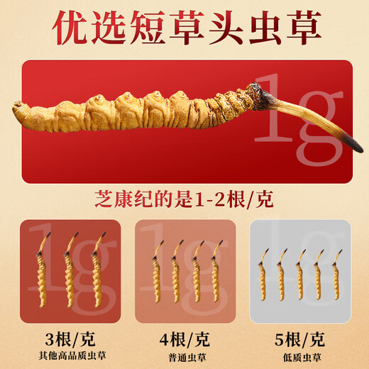 芝康纪冬虫夏草官方旗舰店正品特级虫草礼盒滋补营养品高端送礼送父母 2根/克 30g（尊享礼盒）