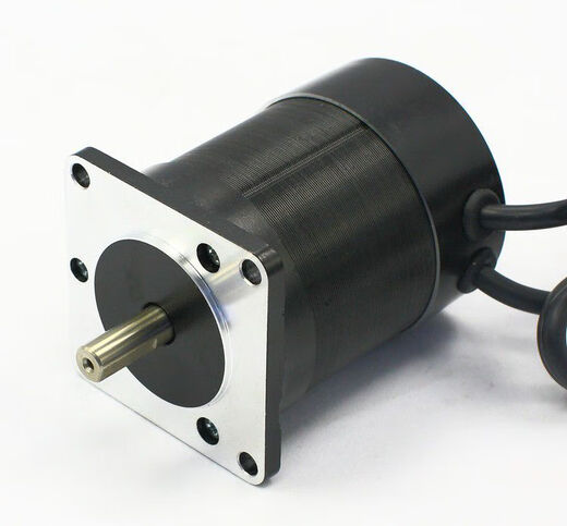 Beyzk DC bürstenloser Motor 48V24V220V bürstenloser Motor Controller Hochgeschwindigkeits-bürstenloser Motorfahrer Set ZM-6625 Hochleistungsfahrer