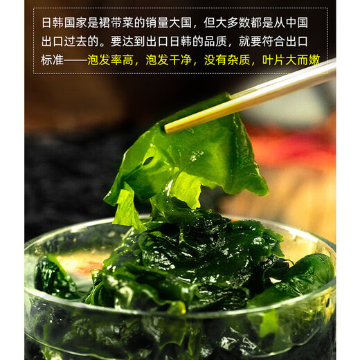 盐渍裙带菜 鲜海带非干货海带嫩苗儿童海菜海白菜海藻菜凉拌 盐渍裙带菜嫩叶500g