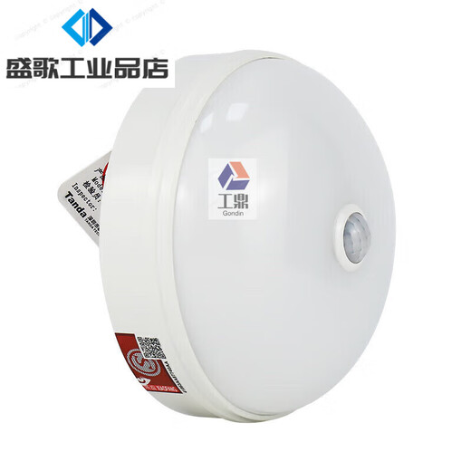 泰和安集中电源控制型消防应急照明灯具吸顶嵌墙式疏散照明指示灯 TS-ZF TS-ZFJC-E3W-6623A