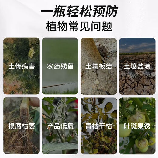 Anxiaoran Microbial Bacteria Fertilizer Promotes Seedlings, Strong Roots, Prevents Disease, Increases Yield, Sugarcane Rice Farmland General Authentic 10 Bottles*120ml Returning Customers 99 Points 9