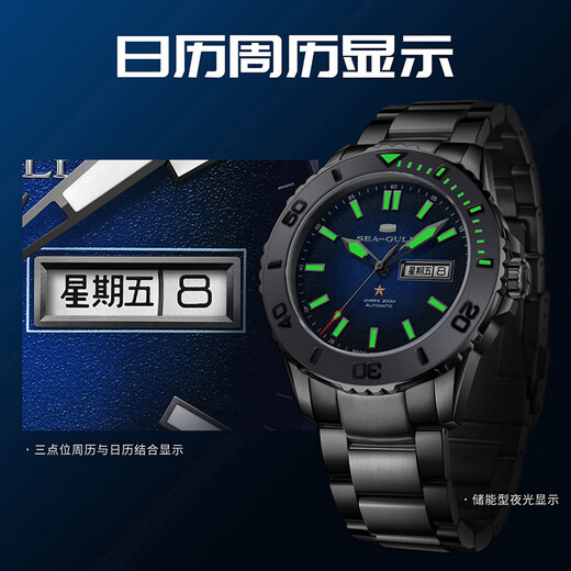 
Seagull Watch Men's Watch Diving Watch Double Calendar Depth Waterproof Mechanical Watch Steel Belt Ocean Series 1047 Sea Sand Silver