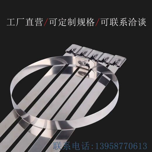 304不锈钢扎带自锁10mm12MM金属耐高温扎丝抱箍高强度户外拉紧器 12200MM100根1包