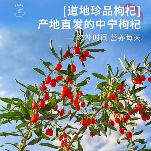 宁夏枸杞 红枸杞子 中宁头茬新货枸杞子 特级250g