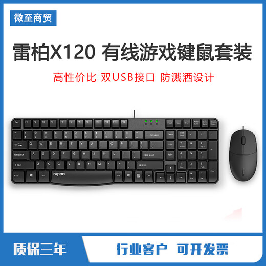 Tastatur und Maus, USB-Kabel, kabellos, für Desktop, Medien, Spiele, Maschinen, E-Sport, Business, geräuschlos, leuchtendes Tastatur- und Maus-Set, Rapoo X120PRO, Schwarz