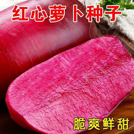 Tianfen Pineapple Fruit Radish Seeds Purple Beauty Radish Seeds Red Heart Red Skin Farm Fresh Vegetable Seeds in Autumn and Winter Seasons Pineapple Fruit Radish Seeds 300 capsules/1 pack + fertilizer