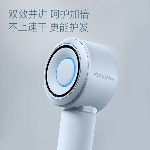 FLYCO high-speed hair dryer for home dormitory, portable noise reduction, hair care, strong wind, holiday birthday gift for girlfriend and wife, hair dryer with intelligent temperature control FH6371, exclusive flagship hair dryer 6371 gray, magnetic air nozzle + gift bag