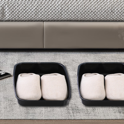 Fantasy Japan SANADA women's car-specific shoe box car trunk shoe storage box plastic black one pack