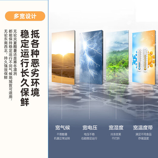 Xinfei Freezer First Class Energy Efficiency Frost Reducing Small Freezer Home Commercial Storage Energy Saving Refrigerator Freezer Small Rental Refrigerator Breast Milk Tea Fresh Refrigerator Gray 142L High Efficiency Frost Reduction-36 Cryogenic Quick Freezing