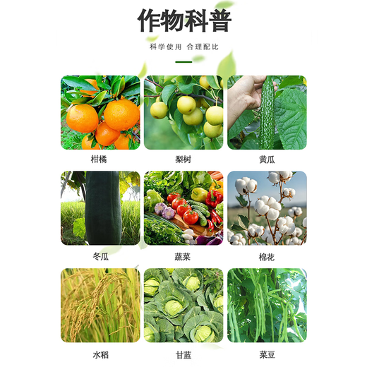 Haolite Runqi 50% thiophanate methyl rice, fruit trees, flowers and vegetables rice blast powdery mildew broad spectrum fungicide