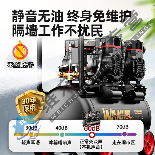 
He Jiagong Air Compressor Inflatable Pump Small 220v Portable Industrial Grade Woodworking Silent High Pressure Air Pump Air Compressor 3890W-70L [LCD Screen + Dual Solenoid Valve] Dual 3180W/3890W/3990W/4290W