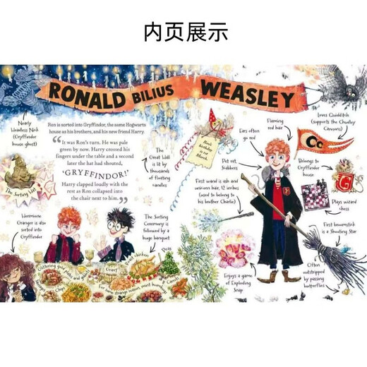 哈利波特故事迷你指南（口袋书）：罗恩·韦斯莱 PocketPotters JK罗琳 哈利波特人物指南 Harry Potter  进口原版 英文书