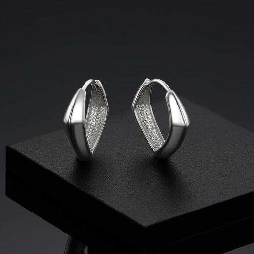 Trendy Acer Geometric Square Platinum Earrings Women's Earrings Single Style Birthday Gift Priced Labor Cost 100 Yuan Approximately 1.3g (Single Style)
