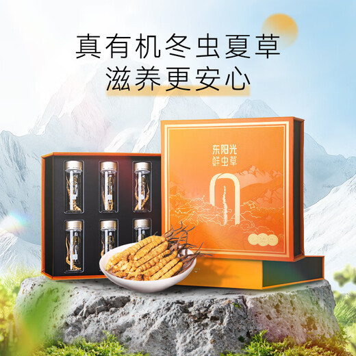 Dongyangguang Cordyceps sinensis 3-4 raíces/G6G Aproximadamente 20 raíces Cordyceps Caja de regalo de alta gama Suplementos nutricionales para ancianos y padres