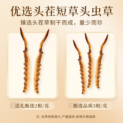 Wancao Kangren Cordyceps Sinensis Отборочная трава в тибетских районах свежие сушеное кордицепс питательный питание Отправить подарок на День Матери для старейшин 2 корней/g 10G (бутылки) Отправить Wolfberry * 1