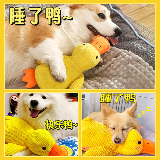 
Huayuan pet tools (hoopet) dog toys toys to relieve boredom and stuffed stuffed stuffed yellow duck puppy teeth grinding artifact bite-resistant dog pet supplies