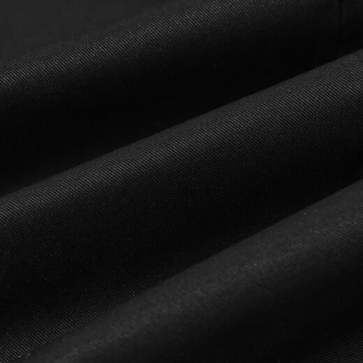 HLA Heilan Home's Black Whale Fashion Workwear Casual Pants Men's 2025 Autumn Trousers Outdoor Leisure