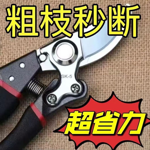 German imported steel shears, tree shears, fruit branches, household branch shears, flowers and trees, grape pruning pick ax pick ax grape shears, ultra-thin extra small u shears