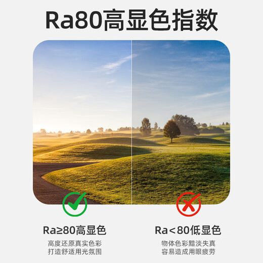 Philips (PHILIPS) LED ceiling lamp wick 38W white light 6500K high color rendering energy-saving lamp panel magnetic modification replacement light source lamp panel module (diameter 280mm)