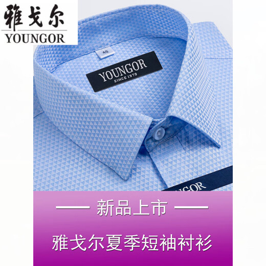 雅戈尔旗舰官方店衬衫男短袖夏季薄款中年男装寸衫职业休闲衬衣透气 短袖DX6636 45 建议【210-230斤】