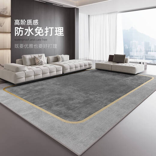 客厅地毯轻奢高级感免洗黑沙发搭配地毯客厅2024新款轻奢高级感房 15839 140*200cm[无甲醛无异味]