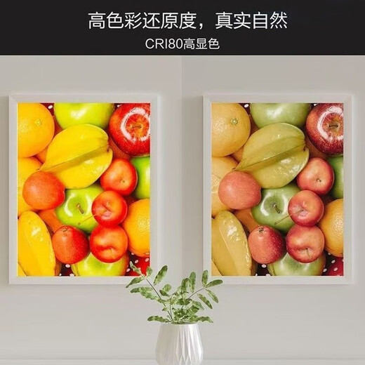 Philips (PHILIPS) LED living room and bedroom ceiling lamp wick 20w white light 6000k round magnetic modification replacement light source lamp panel module 1 pack