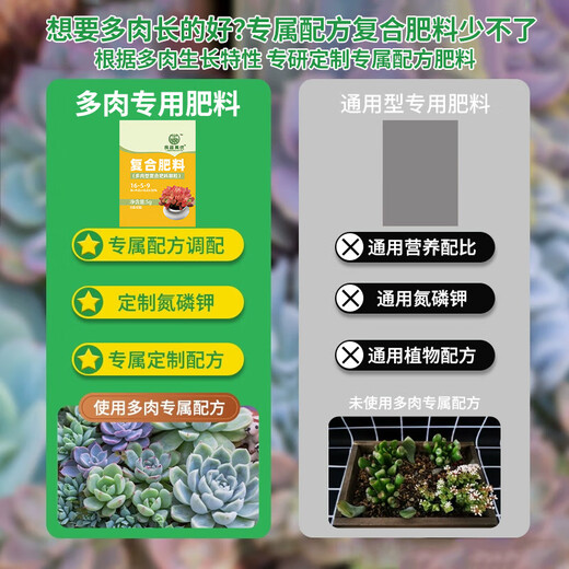 Succulent fertilizer special fertilizer nutrition granules for household flower potting nitrogen, phosphorus and potassium compound long-acting controlled-release fertilizer slow-release fertilizer 20 packs individually packaged - with trial pack