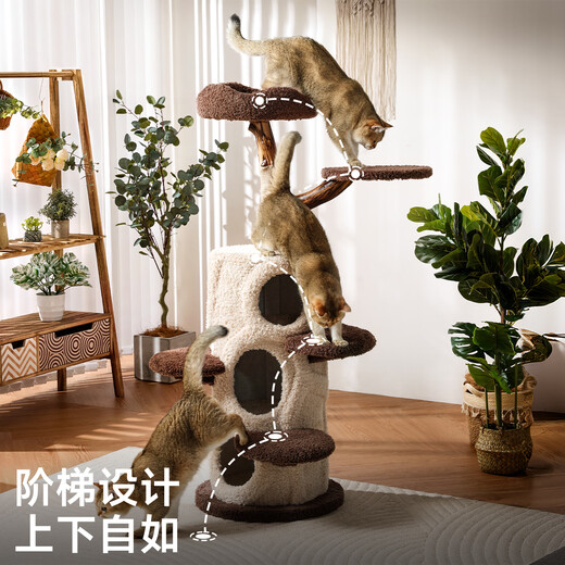 Beast brand tree house cat climbing frame large cat tree cat nest integrated solid wood cat scratching post small apartment cat shelf luxury cat house warm winter tree house丨 toy set