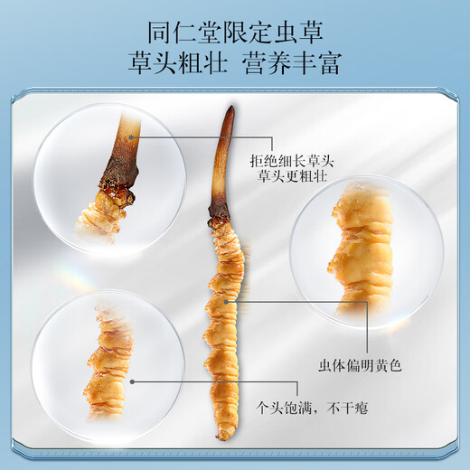 Tongrentang Brand Beijing Tongrentang Fresh Cordyceps Cordyceps Fresh Cordyceps Gift Box Unbreakable Grass Gifts for Elders 1 Box 30G 4A 30 Fresh Cordyceps 1-1.3g/piece