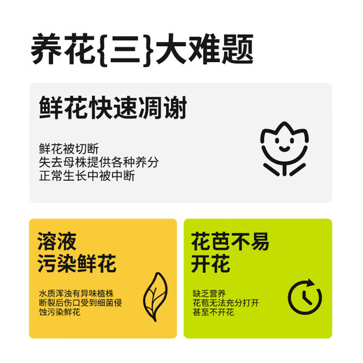 Xinyin chlorine dioxide effervescent tablets for flowers and green plants, special sterilizing water purifier for flowers and green plants, inserted into flower preservatives 100 tablets