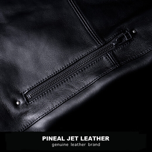 PJL2025春季新款男款商务简单翻领皮衣皮外套 黑色 M (140斤以下)
