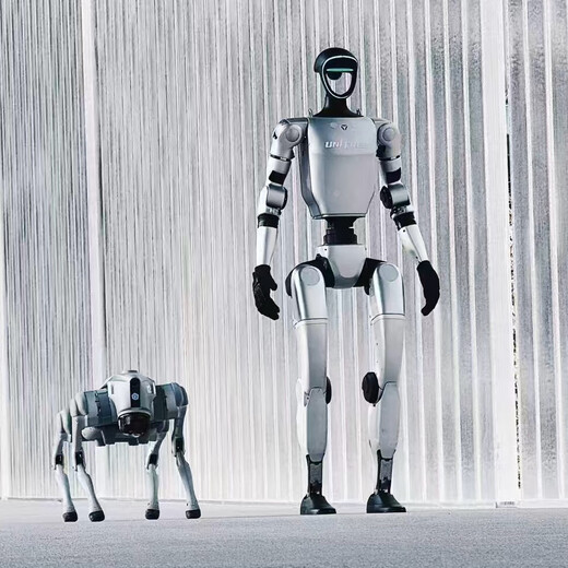 Yushu Intelligent Humanoid Double Foot G1 Robot interprète la marche et la danse du festival de printemps même robot de danse robot robot robot, location de robot pendant une demi-journée
